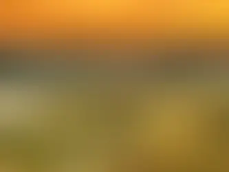 Private motorcycle tour Europe. Why We Don’t Take Bookings.