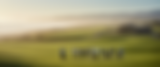 Golfers walking on a coastal golf course at sunrise