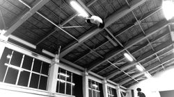 IMG_0632