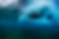 torpedo_ephcto_or-30_edited.png
