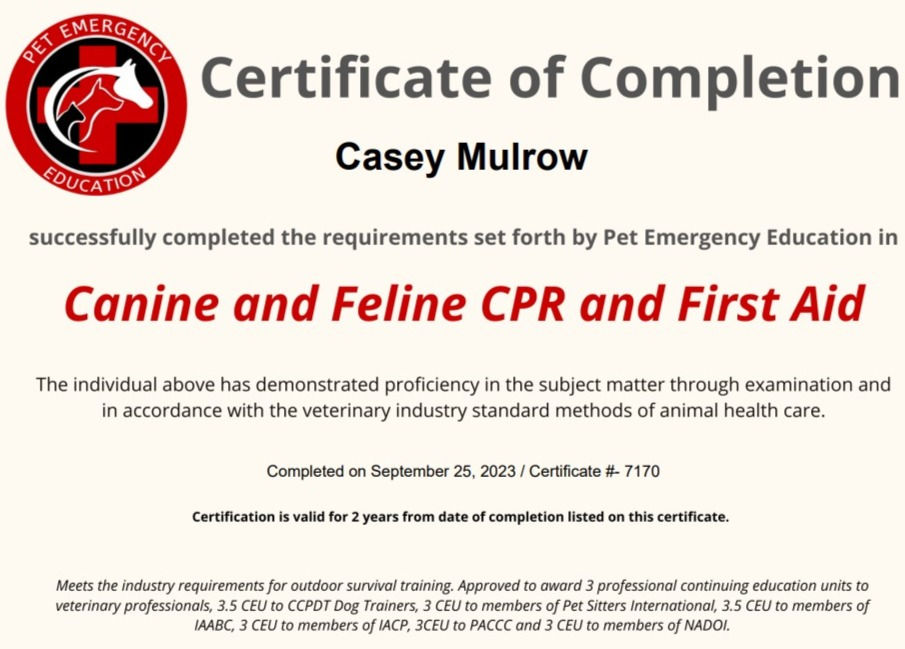 CPR Certi_edited.jpg