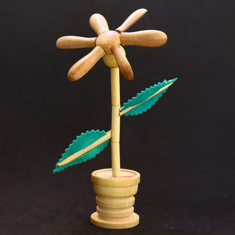 Miniatura: FLOR BEM-ME-QUER