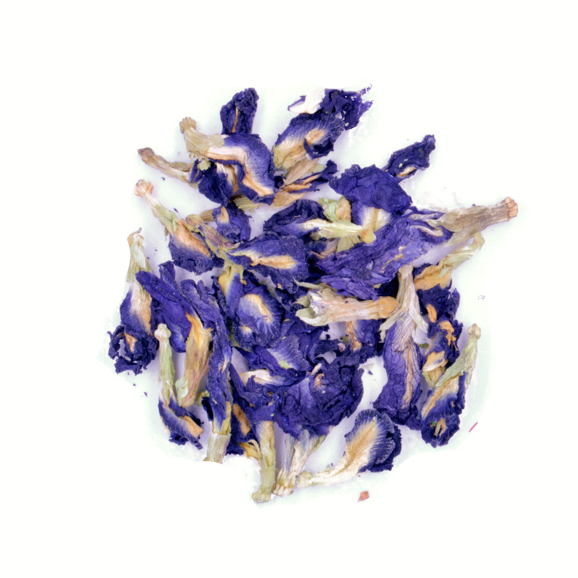 Butterfly pea