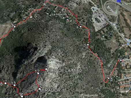 PICO DE LA MIEL