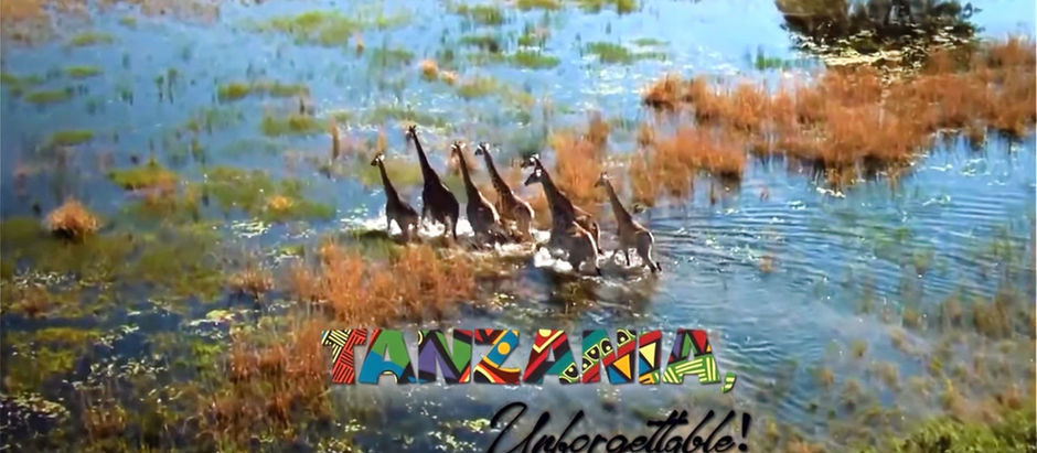 TANZANIA - Unforgettable!