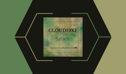 CloudHike Business Card (Black)