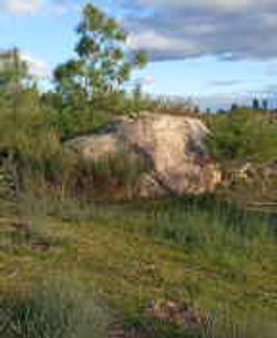 San Fiel