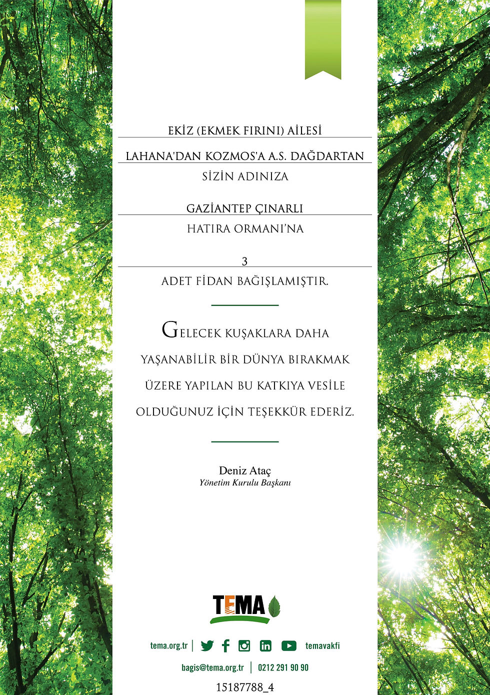 Ekiz bağış