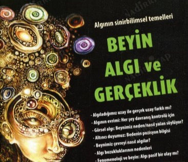 TANIYI KOYAN BEYİN!