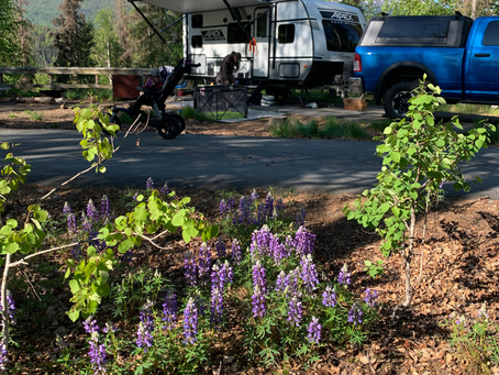 Russian River Campground