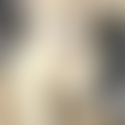 FLORIDA RESCUE - JANUARY - 2026