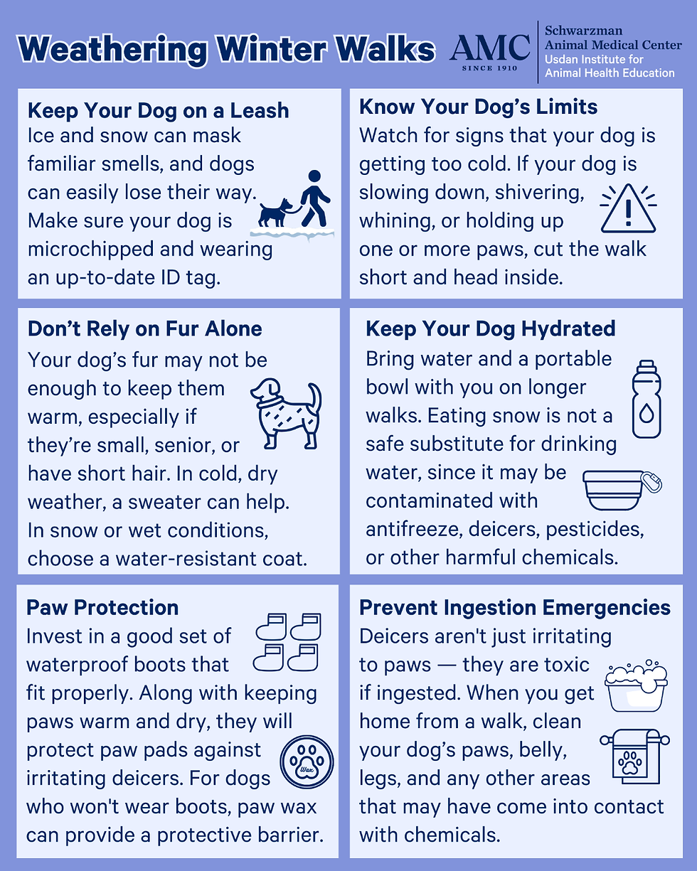 WAGGIN TAILS - FEBRUARY - 2026