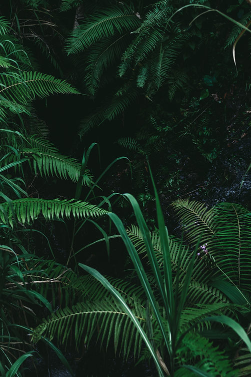 World of green_edited.jpg
