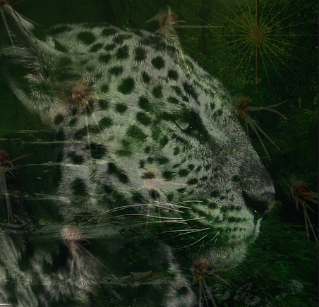 Bildschirmfoto 2024-11-24 um 15.26.03.png