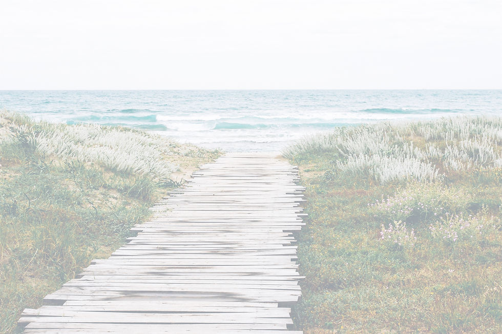 Rustic Beach Path_edited.jpg