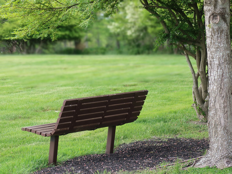 Grief, bench symbolizing loneliness 