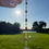 Thumbnail: "Little roses" Heart Sun catcher