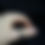 Thumbnail: Mother of Pearl Ring