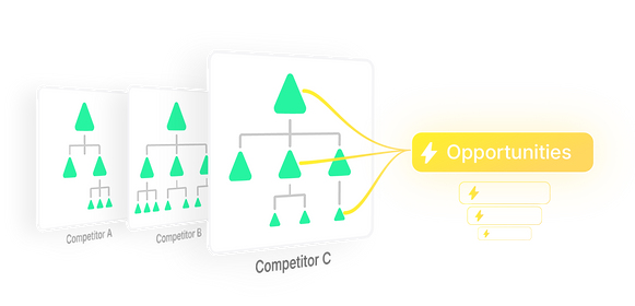 Bonzaii Competitor Feature mapping 