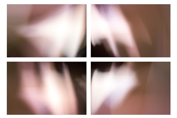 talor clarke FORMS 8 Plato.jpg