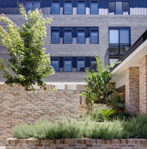 04_Cedar-on-Collins_Kennedy-Associates-Architects_Brett-Boardman