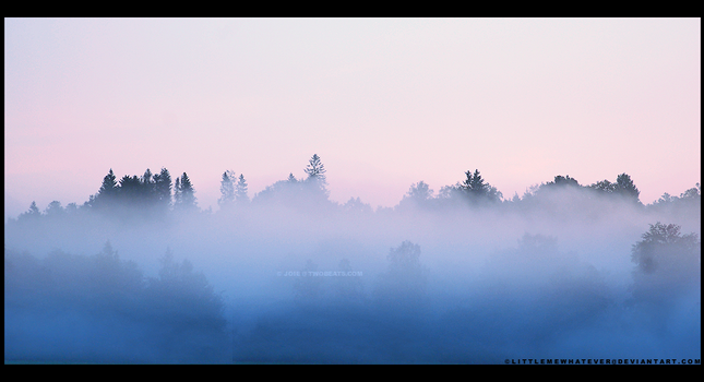 NIEBLA AZUL