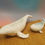 Miniaturbild: Die Wale sind los 