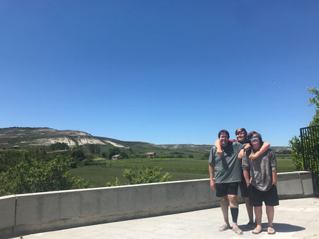 The Camino de Santiago