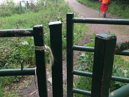The Narrow Gate
