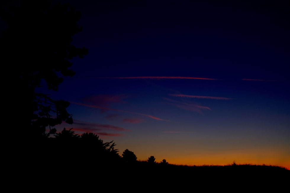DSCF3952.jpg