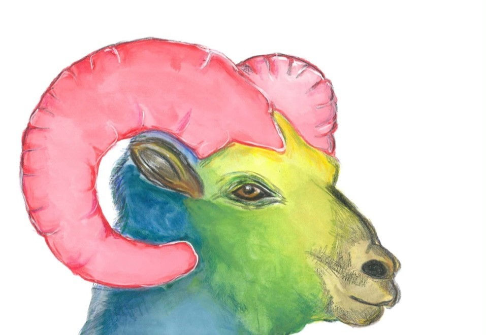 A bold and colorful acrylic painting of a ram’s head, captured in vibrant detail. Using bright tones of yellow, green, blue,