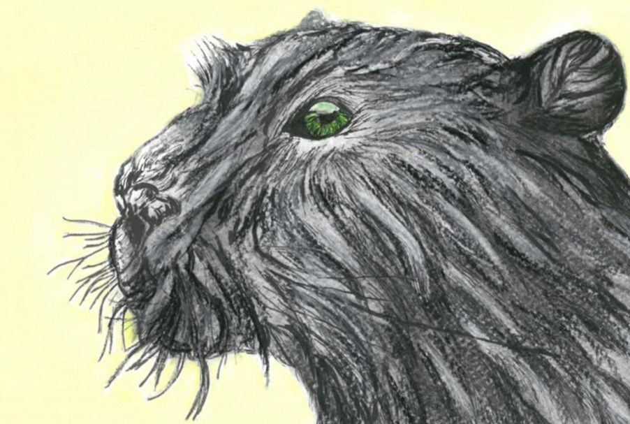 A powerful portrait of a panther's head, drawn with charcoal and colored pencils. The intense, glowing green eyes capture att
