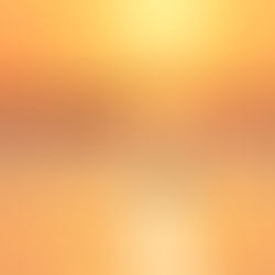 Warum wissenschaftlich-basierte Grenzwerte nicht verhandelbar sind – Vortrag Dr. Marion Junghans