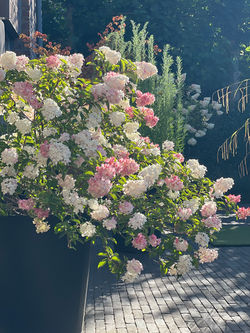 Plantations dans le jardin