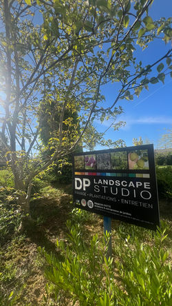 Plantations dans le jardin