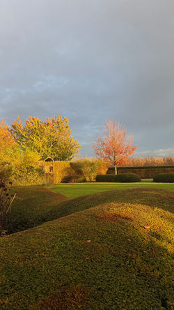 Plantations dans le jardin