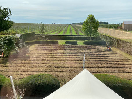 Le sursemis de gazon by DP Landscape Studio