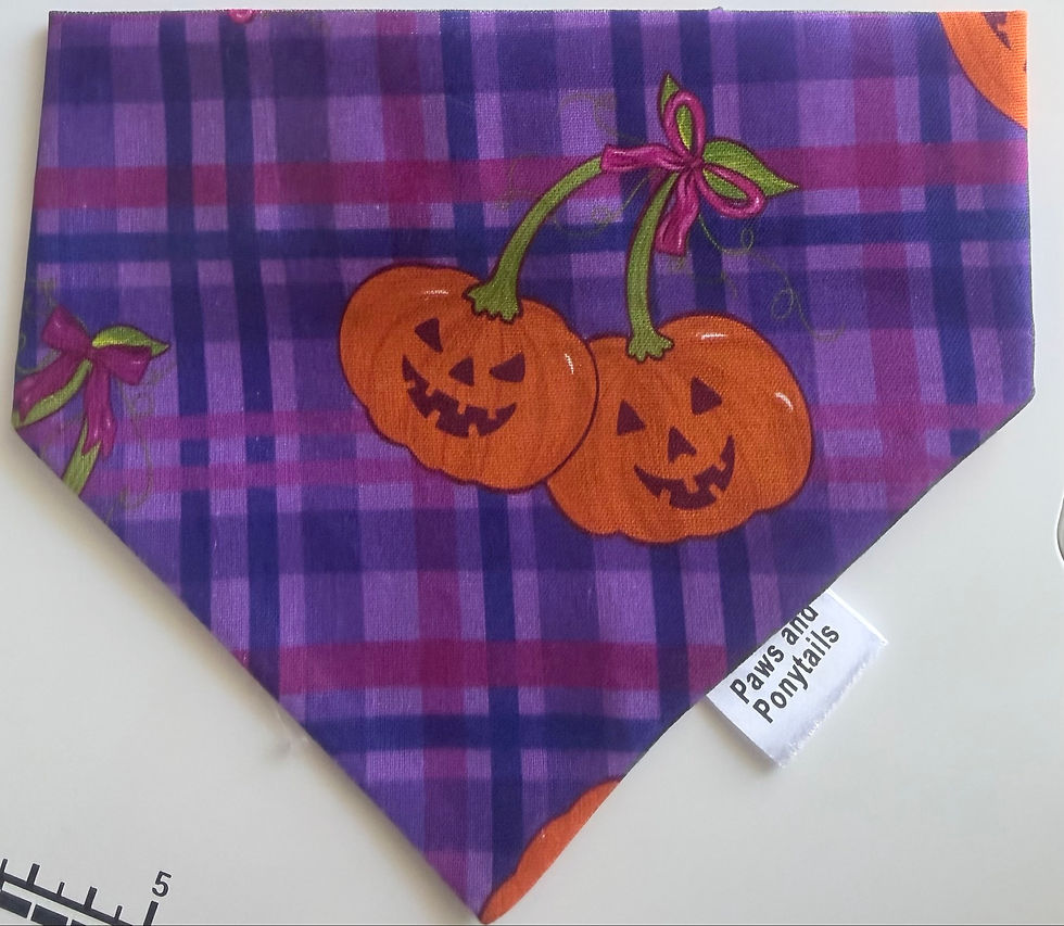 The Pumpkin Patch bandana flat lay showing the full design