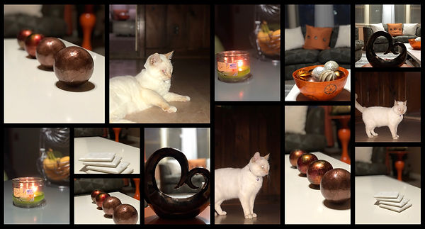 BeFunky-project (1).jpg