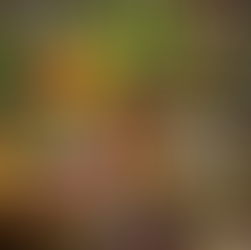 Connecting With Our Ancestors 