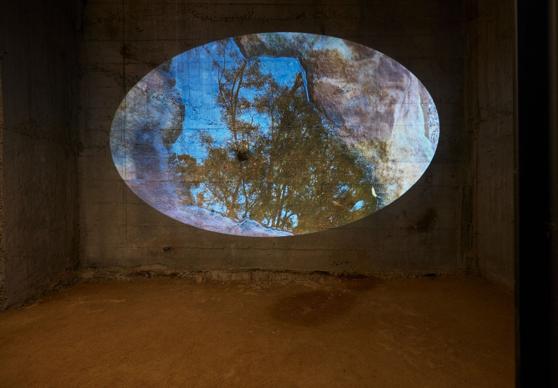 'Shrine to Aqueous Depths'
North Sydney Art Prize, 2022
