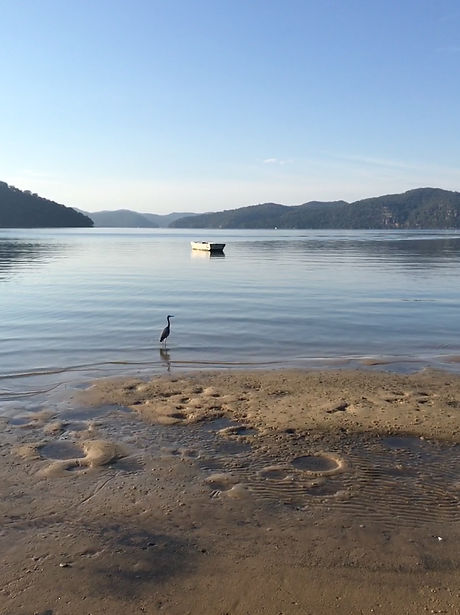 Dangar Is & H River-205.JPG