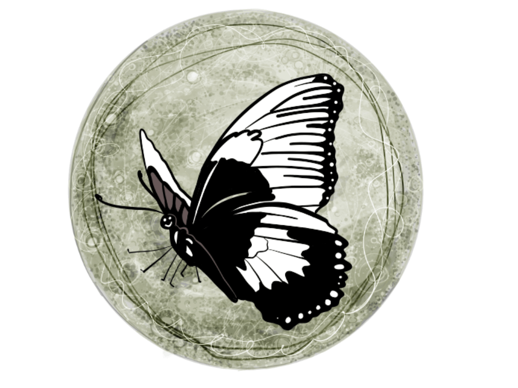 Resting butterfly animation 2.gif