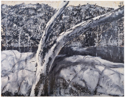 Paul Taylor, Hawkesbury Artist