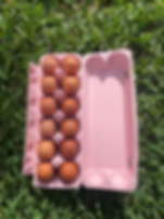 12 Medium Pasture Raised Eggs