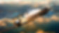 king%20air%20soaring%20thru%20clouds_edi