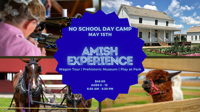 2nd Dibs Amish Experience.png