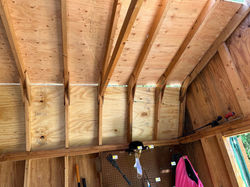 Jose Painting_Remodeling (614) 271 1750
