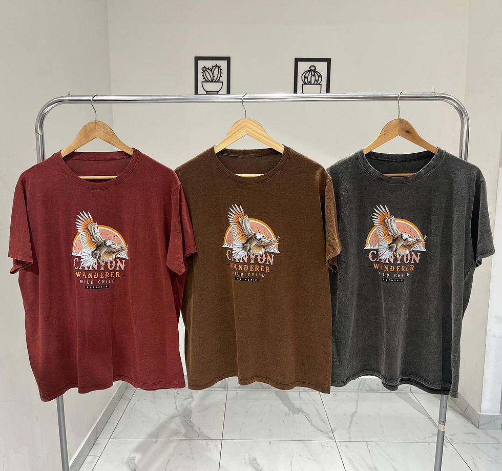 Miniatura: ART 225-123 REMERA SNOW LAVADO CANYON