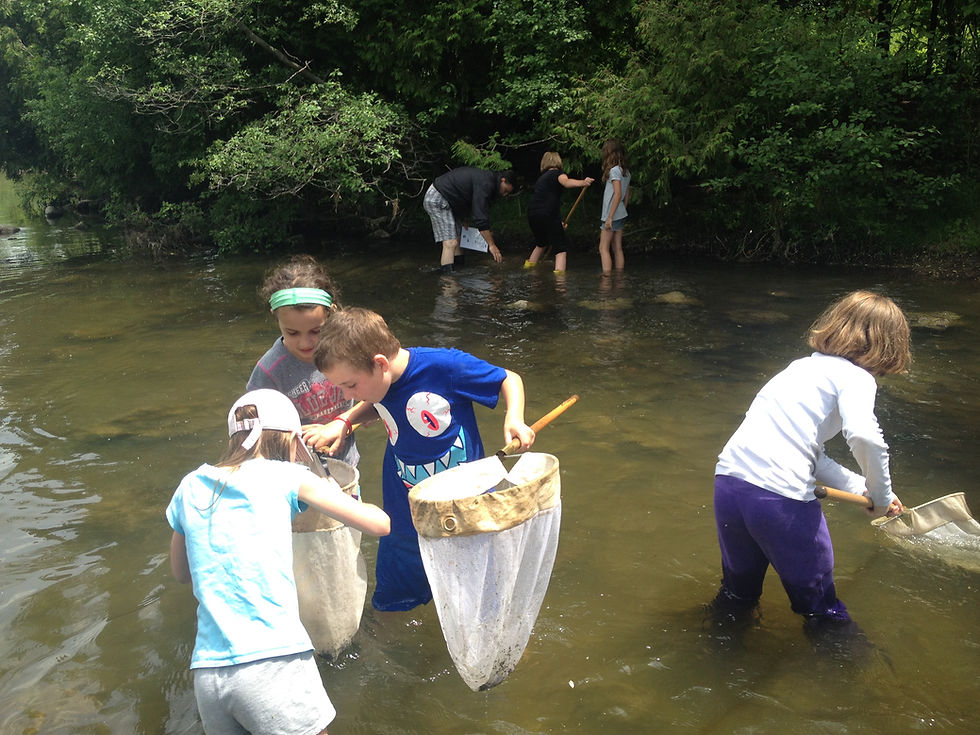 Children with nets wading through creek water